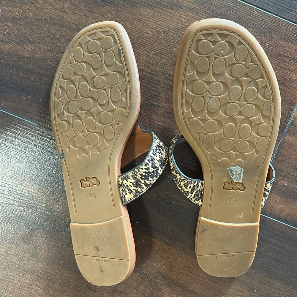 Coach sandal - Picture 3 of 4